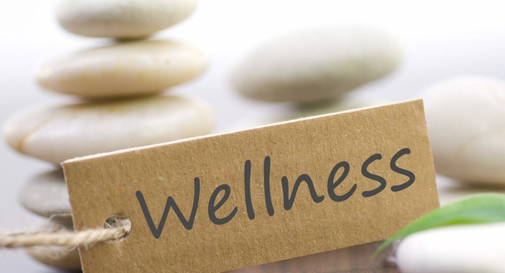 "Crafting Wellness: A Guide to Establishing a Balanced Daily Routine"