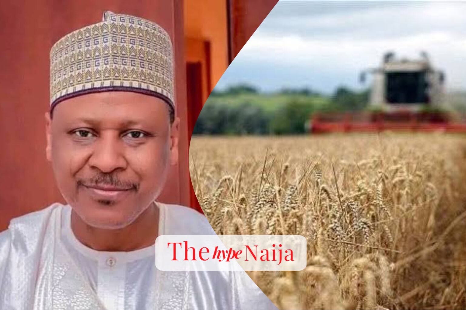 “Federal Aid Boosts Wheat Production in Jigawa, Minister of Information Witnesses Harvest”