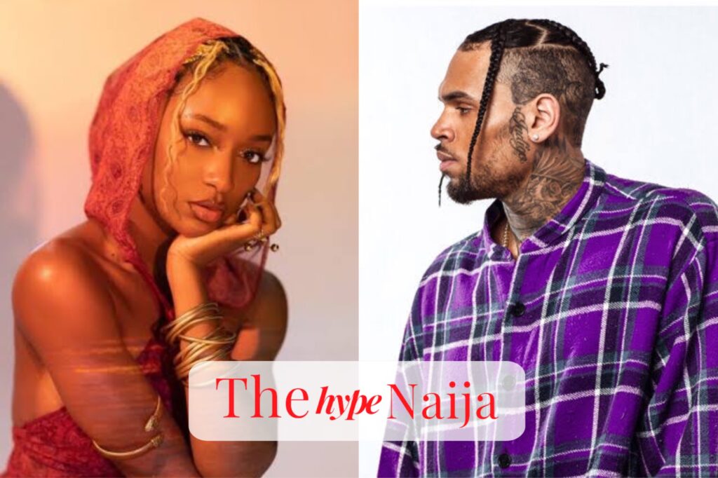 “Ayra Starr Highlights Chris Brown's Support for African Music”