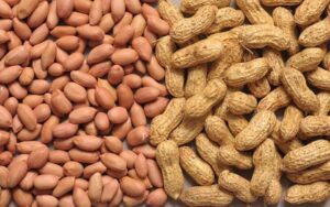 Unearthing the Nutritional Gold: The Surprising Health Benefits of Groundnuts