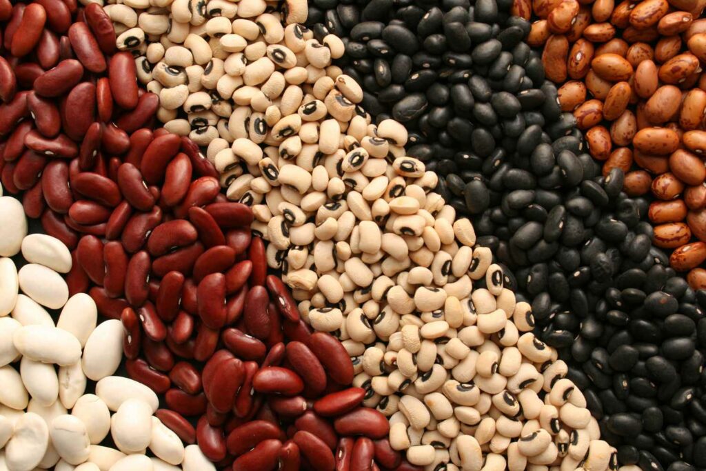 Health Benefits of Beans