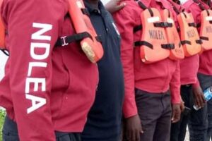 NDLEA Detains Three Wanted Kingpins, Intercepts Heroin Bound for Oman