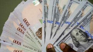 "Naira Faces Sharp Decline to N1,234/$ in Official Market Amid Speculative Hoarding"