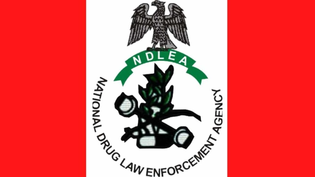 NDLEA Records Significant Achievements in Drug Enforcement Over Three Years