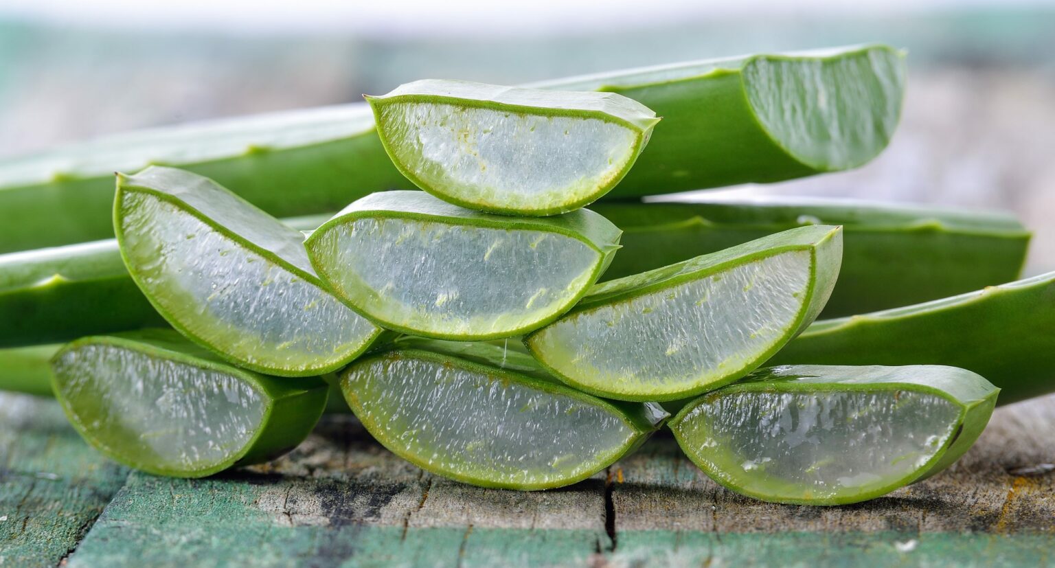 Health benefit of Aloe Vera