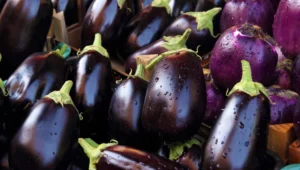 Health benefits of Eggplant