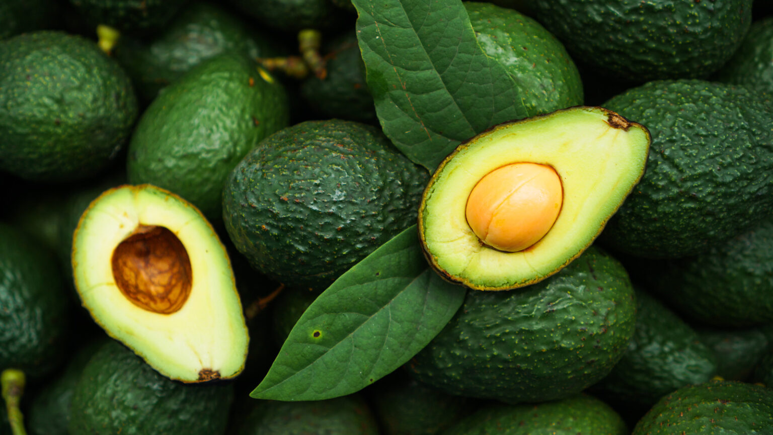 Health benefit of avocado