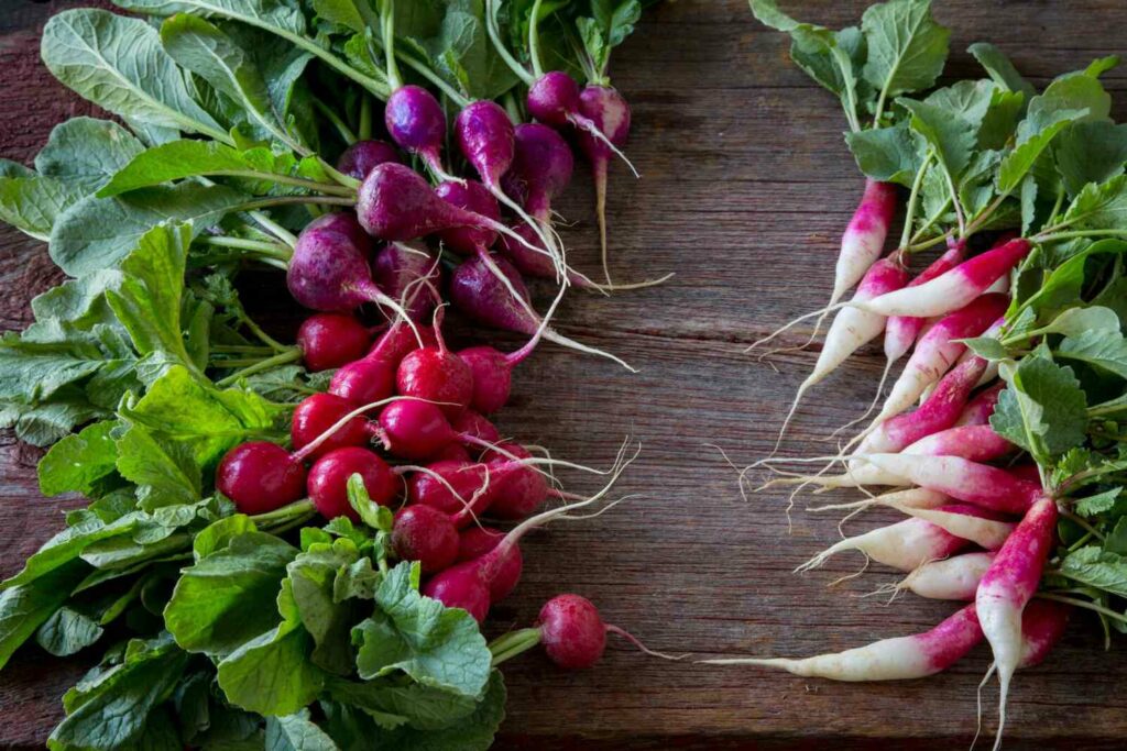 Health Benefits of Radishes