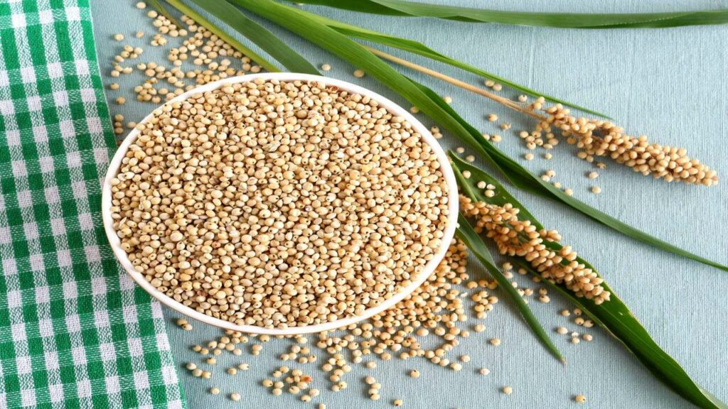 Health Benefits of Jowar