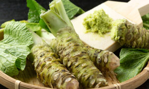 Health Benefits of Wasabi