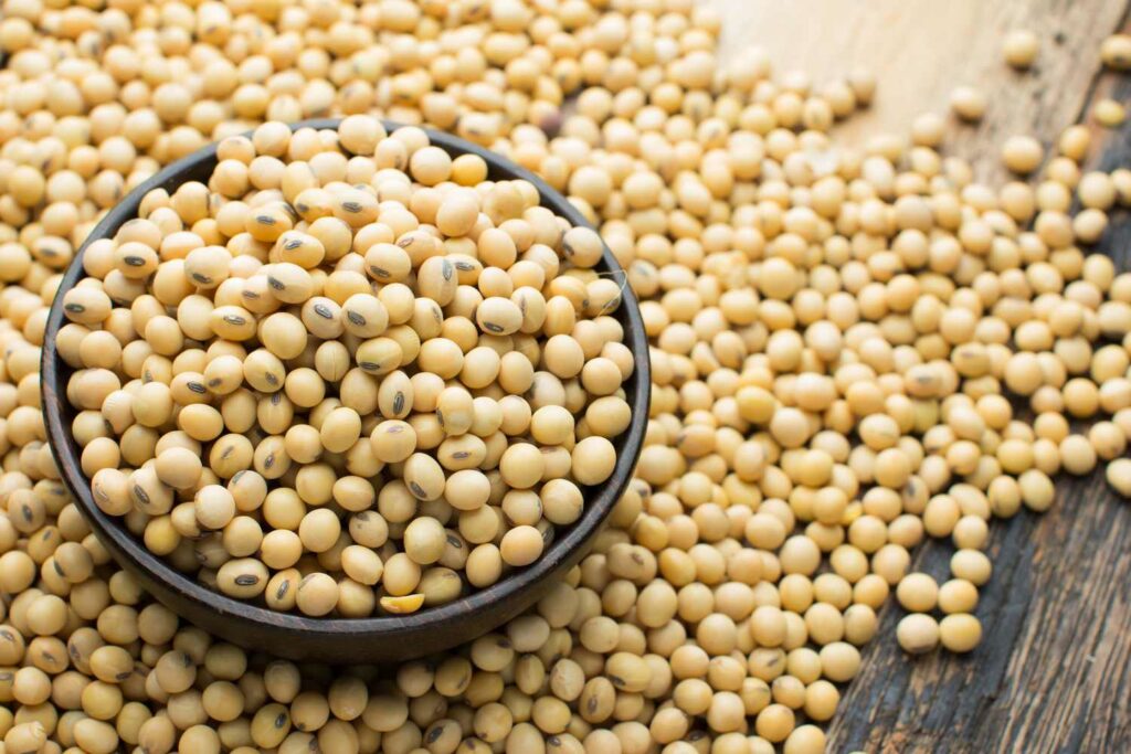 Health Benefits Of Soybeans