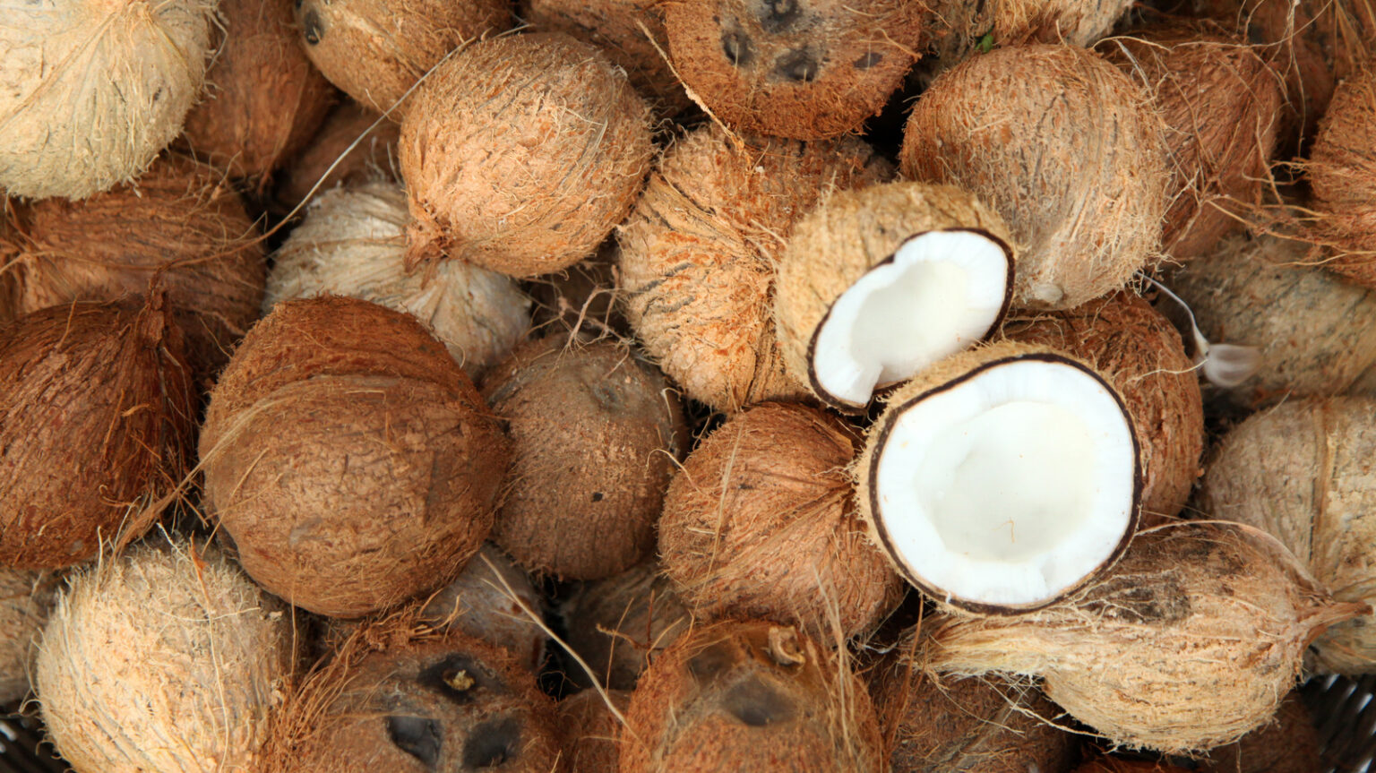 Health Benefits of Coconut