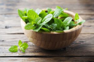 Health Benefits of Mint Leaves