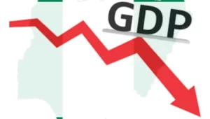 Nigeria's Economic Woes Deepen as GDP Shrinks in Q1 2024