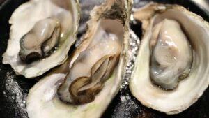 Health Benefits of Oysters