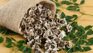 Health Benefits of Moringa Seeds