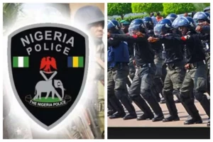 Lagos Police Crack Down on E-Hailing Crimes: A Call for Collective Safety