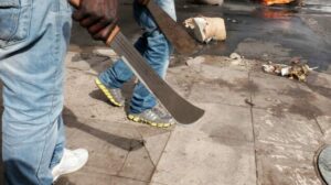 A Fork in the Road: Ogun State Establishes Special Court to Tackle Cult Violence