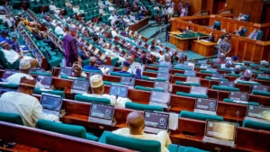 Legislative Logjam or Busy Beehive? Unpacking the Numbers Behind Nigeria's House of Representatives Activity