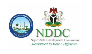 Removing NDDC from TSA: A Development Boon or Recipe for Abuse?