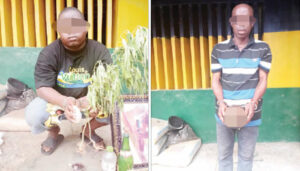 Herbalist Butchered Friend to Create Ritual Soap for Yahoo Boys