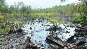 Bayelsa Communities Weep as Oil Spill Ravages Land and Livelihoods