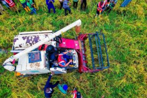 Ogun State's Rice Revolution: A ₦1 Billion Success Story