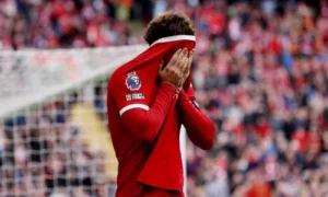 Crystal Palace Fan's Cheeky Celebration Silences Liverpool Crowd