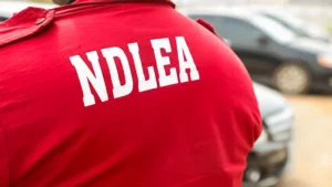 NDLEA Confiscates N9 Billion Worth of Opioids in Rivers