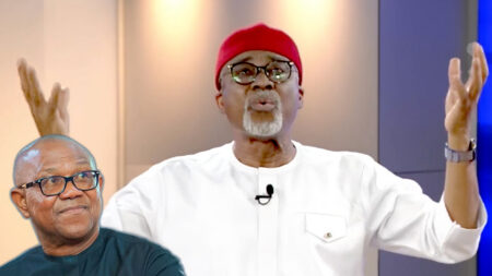 'Nigeria Lost Better Future Under Obi's Defeat' - Abaribe 