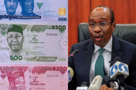 Emefiele's Naira Redesign Deviated from Presidential Approval - Former CBN Deputy Governor Kingsley Obiora