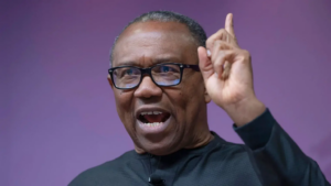 'Obidient' Movement Sets Sights on 2027, National Coordinator Unveils Strategic Vision for Peter Obi's Presidential Prospects