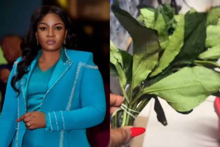 PRICE SHOCK SPARKS DEBATE AS OMOTOLA EKEINDE'S N680 VEGETABLE PURCHASE DIVIDES FANS