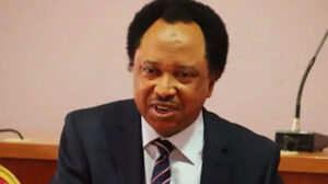 Presidential Stance On Military Probe Sparks Controversy As Shehu Sani Warn Of Double Standards