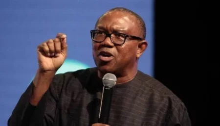 Show Same Urgency for All Kidnap Victims as Odumosu's Wife - Peter Obi to Police