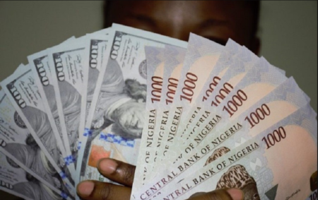 Naira Shows Mixed Performance Across Trading Platforms